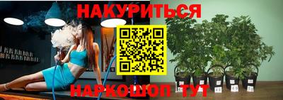 ГАЛЛЮЦИНОГЕННЫЕ ГРИБЫ Кулебаки